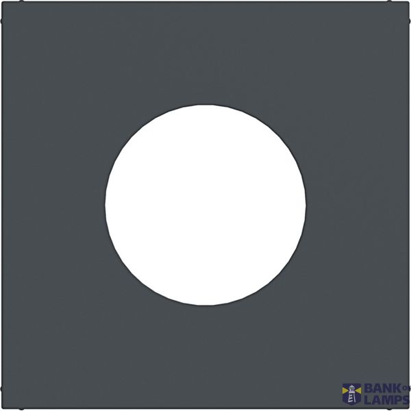 Central plate for push button/light signal E10, A.x/C.x, anthracite image 1