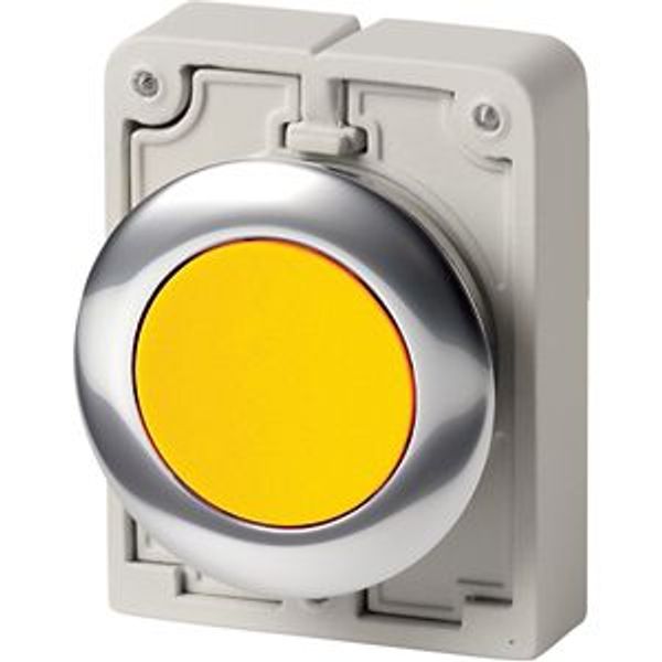 M30C-FDR-Y Pushbutton, RMQ-Titan, Flat, maintained, yellow, Blank, Metal bezel image 8