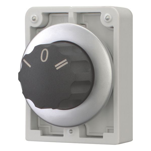 M30C-FW3 Changeover switch, RMQ-Titan, With rotary head, momentary, 3 positions, inscribed, Metal bezel image 3
