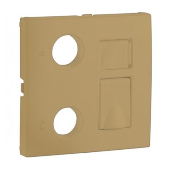 COV F/R-TV-RJ45/R-TV-RJ45-FO MULT SOCKET GOLD image 1