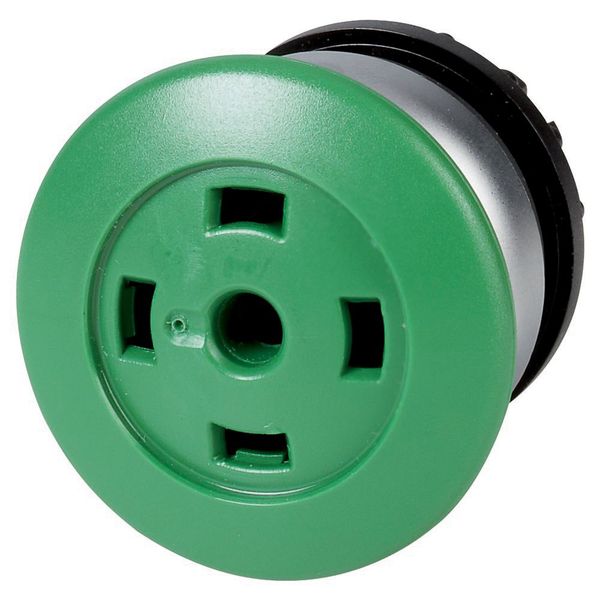 M22-DP-G-X-GVP Mushroom actuator, RMQ-Titan, Mushroom, momentary, Mushroom green, Without button plate, Without, Bezel: titanium image 3