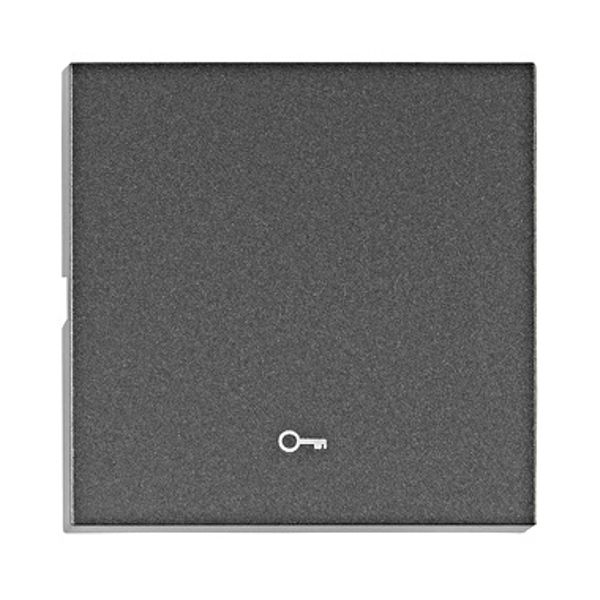 Rocker S 55 with symbol key, anthracite image 1