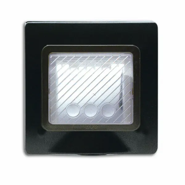 IP55 PLATE BLACK S44 2MOD image 1