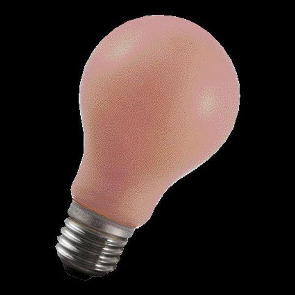 LED Filament Flame A60 E27 240V 4.5W 1900K Dimm image 2