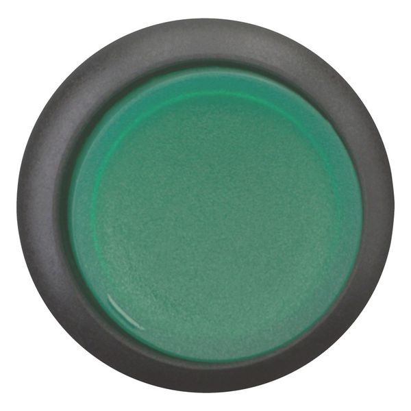 M22S-DLH-G Illuminated pushbutton actuator, RMQ-Titan, Extended, momentary, green, Blank, Bezel: black image 9