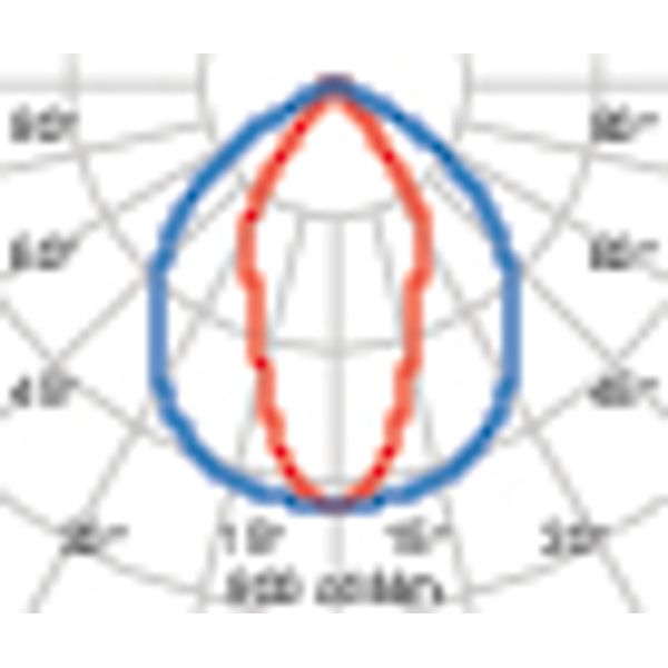 GUELL1 36 S/W 830 GR94 DALI image 6