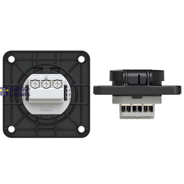 MD25 image 2