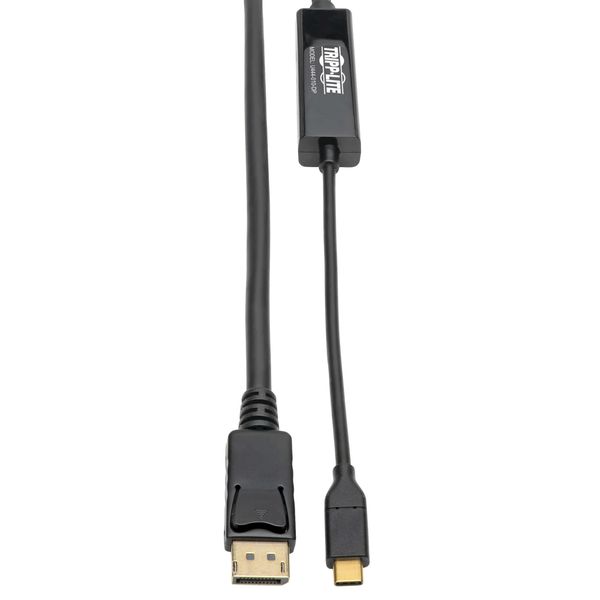 USB-C to DisplayPort Active Adapter Cable (M/M), 4K 60 Hz, 10 ft. (3.1 m) image 1