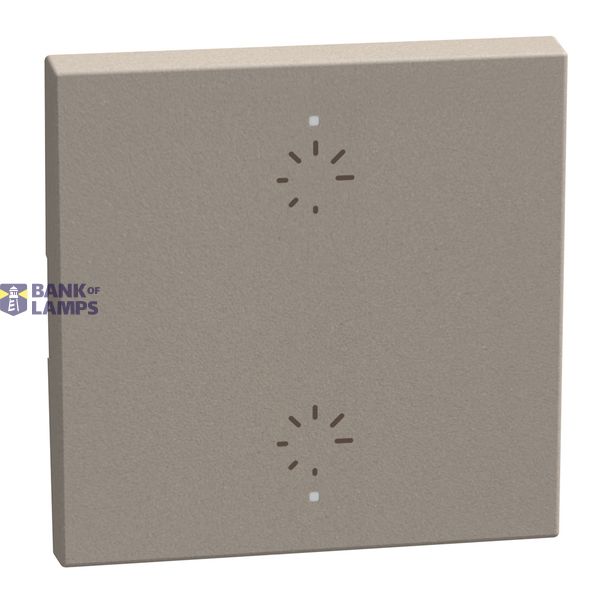 LIGHT NOW KEY COVER 2DIMMER 2 MODULE STONE image 1