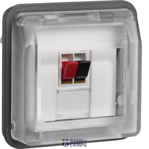 Speaker connection 1-v, W.1, grey image 1