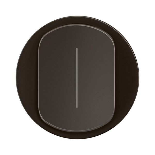COVER PLATE INDICATOR CELIANE BLACK image 4