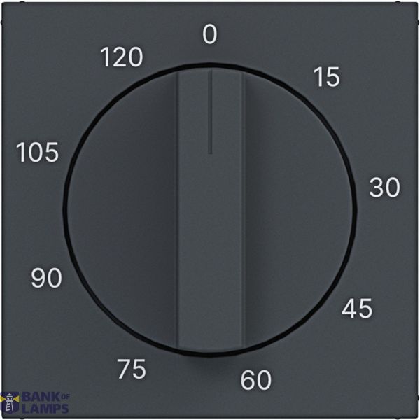 Central plate for mechanical time switch 0-120 min., A.x/C.x, anthracite. image 1