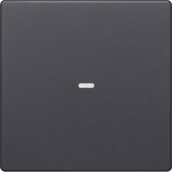 Cover for 1gang for push-button module, clearlens, Q.1/Q.3, ant. velve image 2