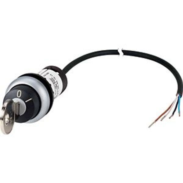 C22-WRS-MS1-K02-P65 Key-operated actuator, RMQ compact solution, maintained, 2 NC, Cable (black) with non-terminated end, 4 pole, 3.5 m, 2 positions, MS1, Bezel: titanium image 5