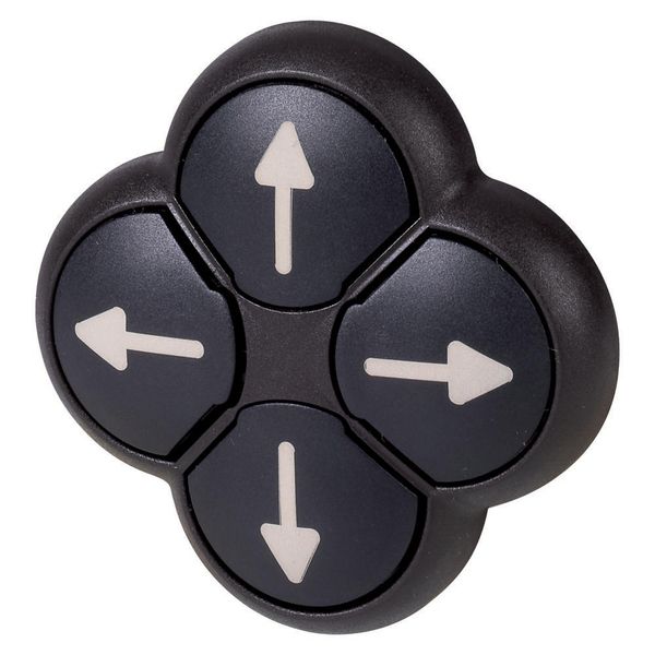 M22S-D4-S-X7 Position pushbutton, RMQ-Titan, Actuators non-flush, momentary, black, 4-fold, opposing pushbuttons not mechanically interlocked, Bezel: black, arrow image 2