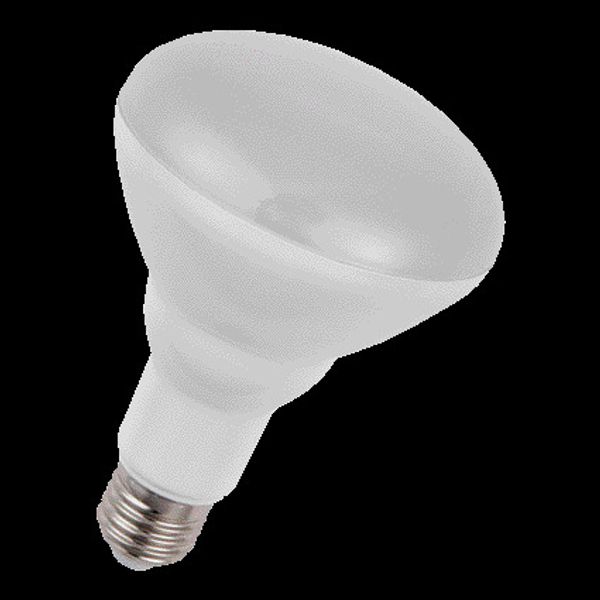 LED R95 E27 230V 11W 827 110D Dimm image 2