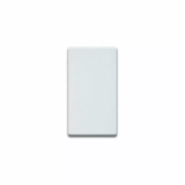 Blank insert 1 module - RAL 7035 image 1