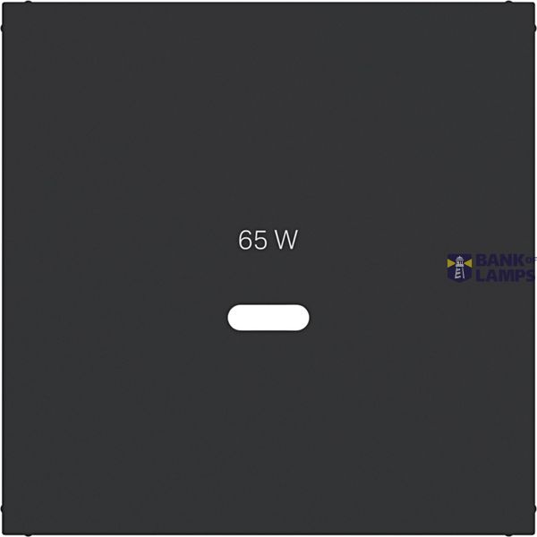 Center plate for USB-C socket, A.x/C.x, matte night black image 1