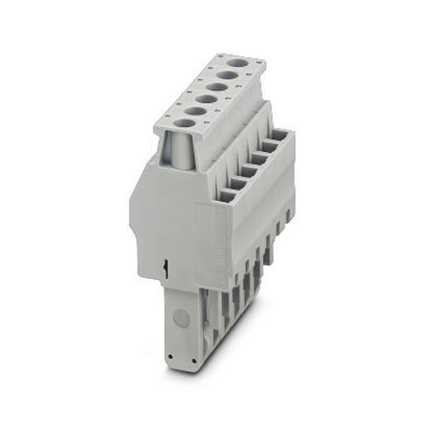 UPBV 4/ 6 - Plug image 4