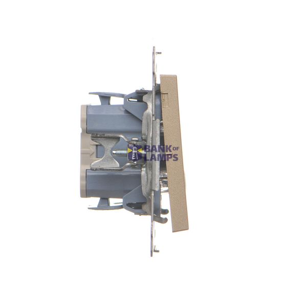 Two-way switch without pictogram, (module), Simon 24, IP20/IP44, 10AX, champagne matt image 1