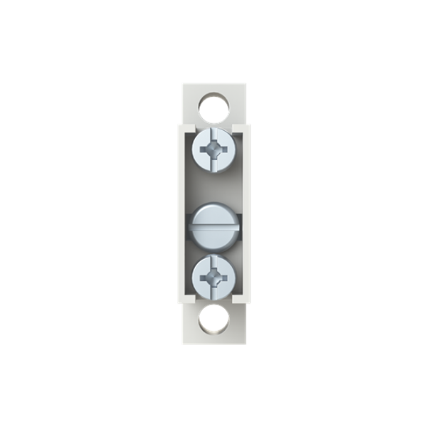 VTM63FT N/PE through terminal 63A with clamp terminals image 1