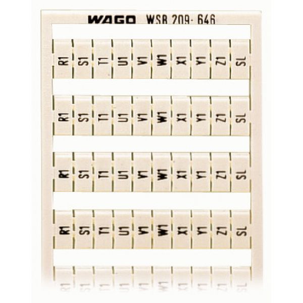 WSB marking card as card MARKED white image 3