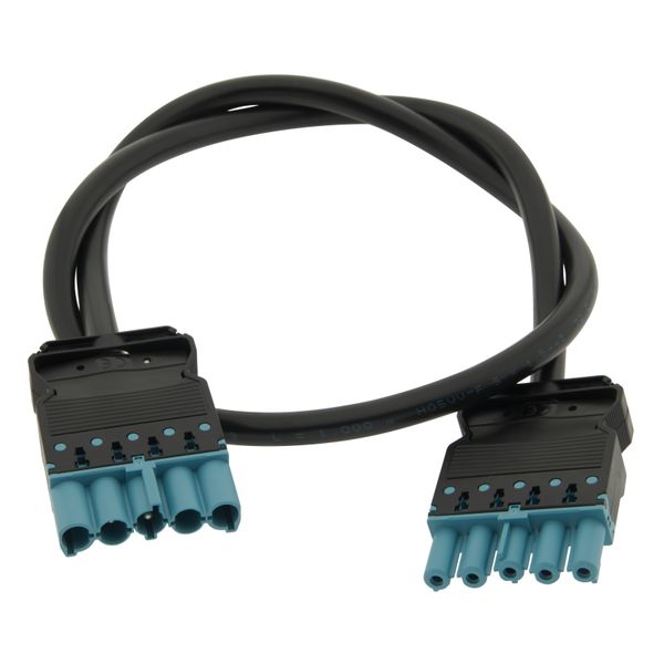 Wieland connection cable 5 pin 1,5mm - 1m, IP20 image 1