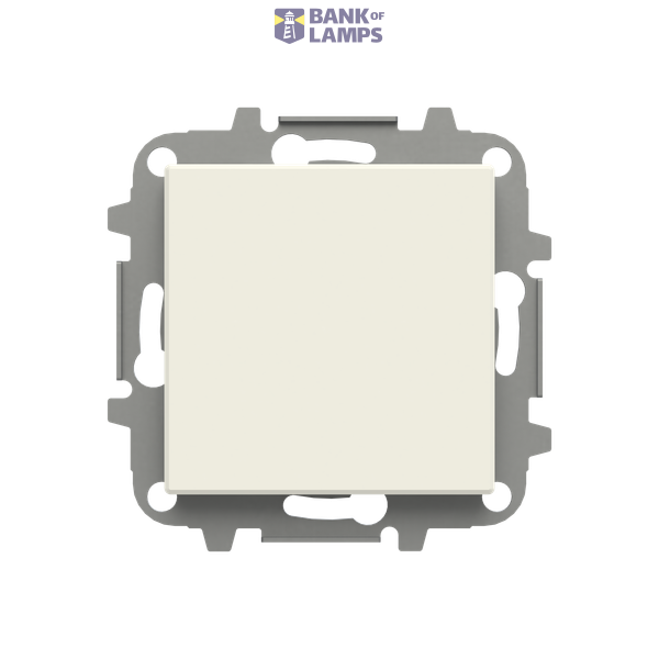 Blank plate image 1