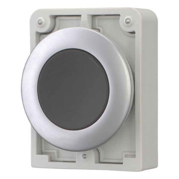 M30C-FD-S Pushbutton, RMQ-Titan, Flat, momentary, black, Blank, Metal bezel image 2