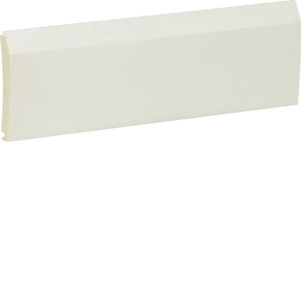 Replacement door solid, white for VD110 image 1