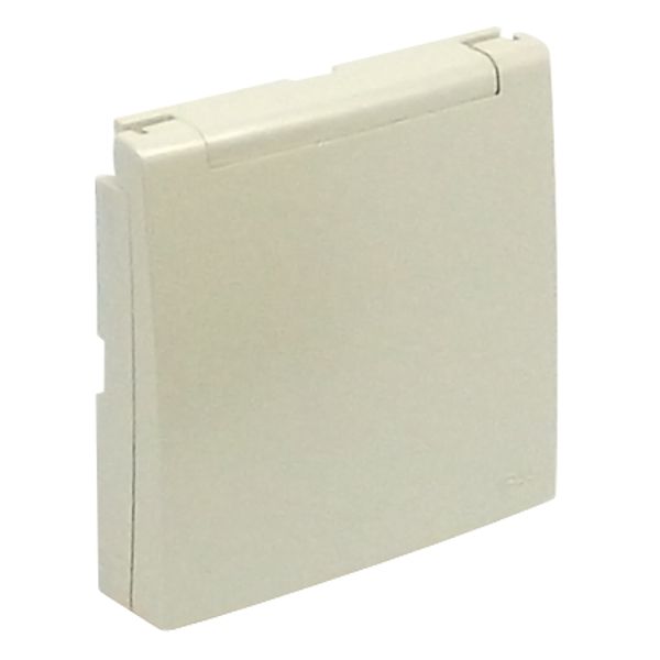 C.PLAT F/FR SOCK W/SAF & HINGED LID(IP44) PE image 1