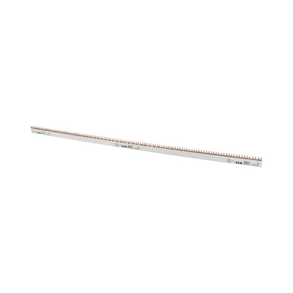 BB-EVF-10/3P-2MU Phase busbar, 3-phase, 10qmm, fork connector, 1m image 5