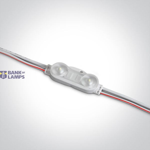 LED IP65 MODULE 2x0,5w 12vDC 6000K CHAIN 50pcs 10m image 1
