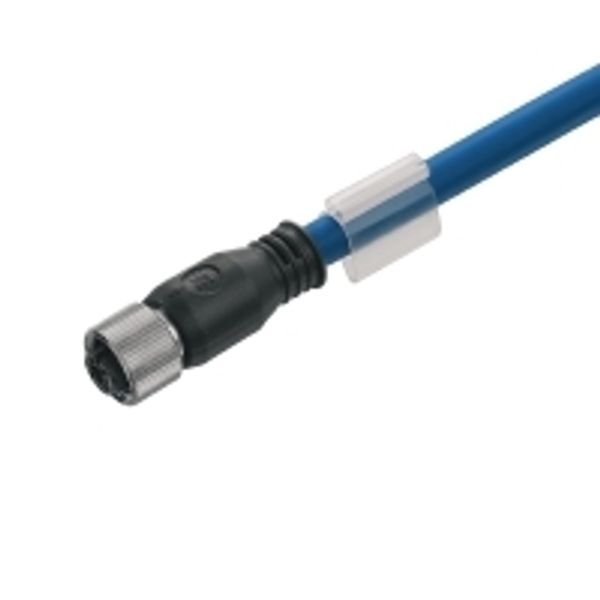 Bus line, One end without connector, M12, Number of poles: 2, 1 m, Female socket, straight, Shielded: Yes, LED: No, Sheath material: PVC, Halogen: Yes image 1
