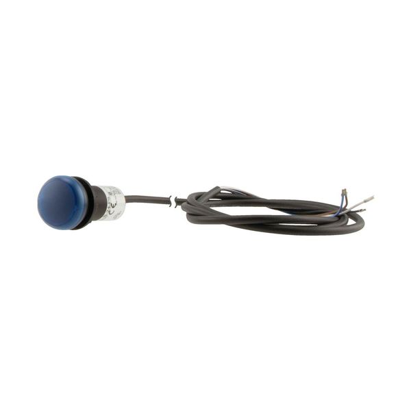 C22-L-B-24-P65 Indicator light, Flat, Cable (black) with non-terminated end, 4 pole, 3.5 m, Lens Blue, LED Blue, 24 V AC/DC image 9