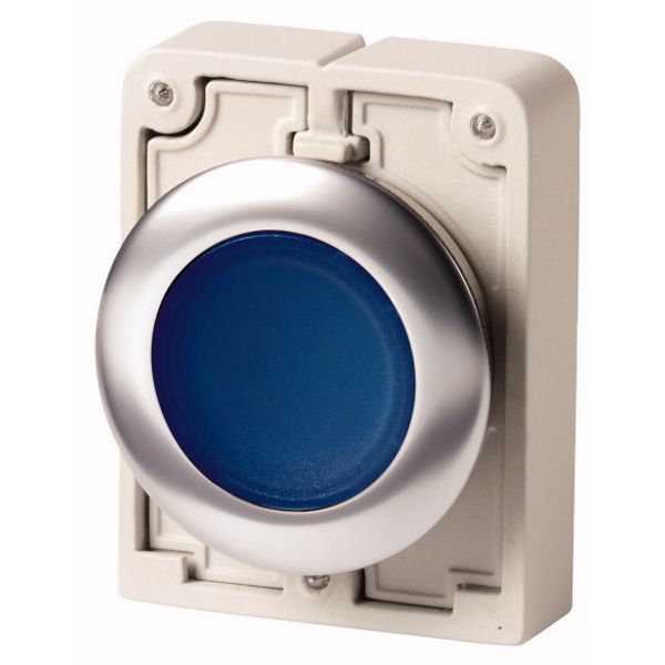 M30I-FDL-B Illuminated pushbutton actuator, RMQ-Titan, flat, momentary, Blue, blank, Front ring stainless steel image 2
