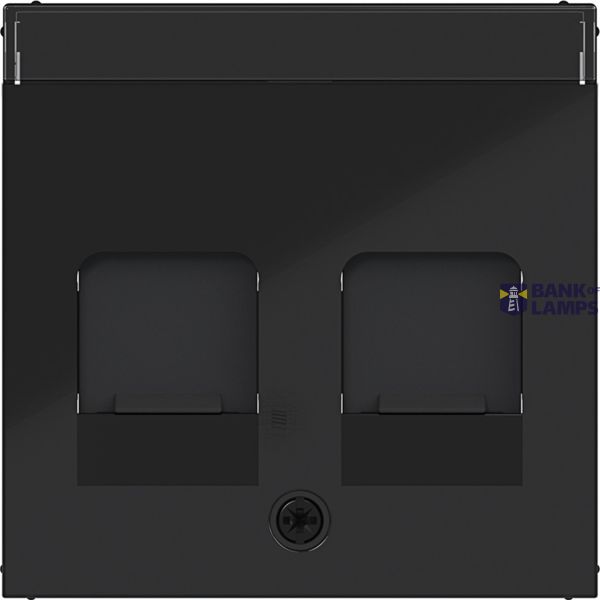 Central plate KeyStone 2-v, dust shield, text field, A.x/C.x black glazing. image 1