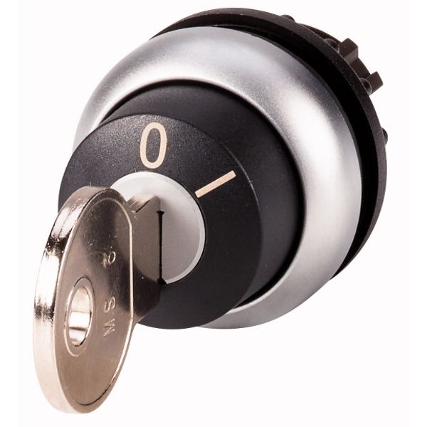 M22-WRS-MS6 Key-operated actuator, maintained, 2 positions, MS6, Key withdrawable: 0, I, Bezel: titanium image 1