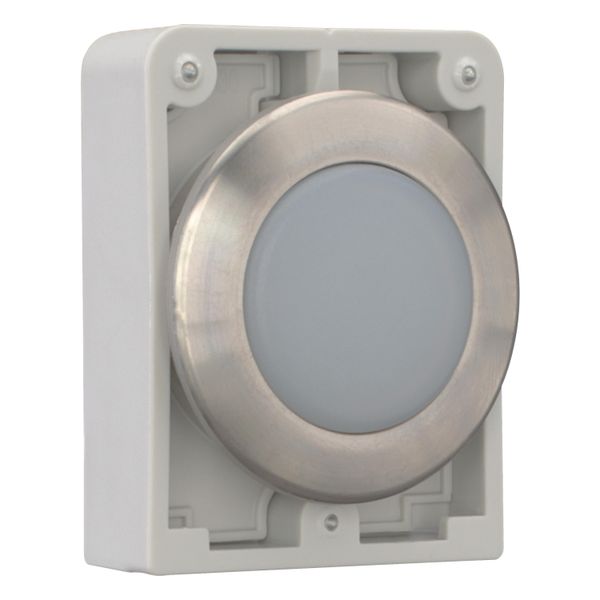 M30I-FL-W Indicator light, RMQ-Titan, flat, white, Front ring stainless steel image 12