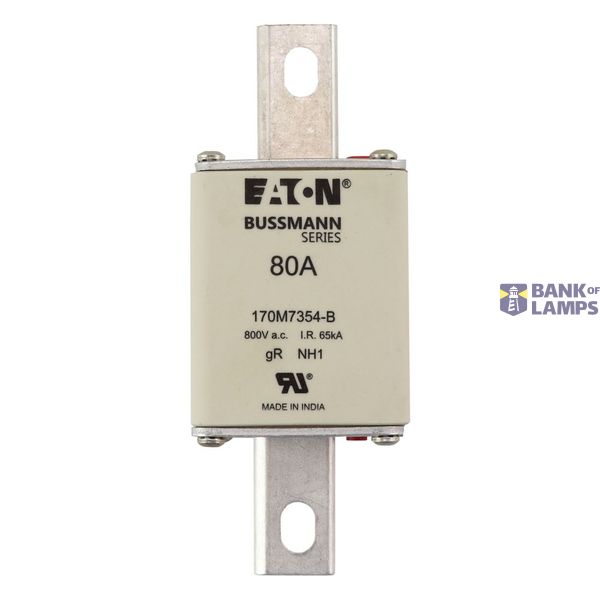 FUSE 80A 800V AC gR SIZE 1 BOLTED TAG DI image 16