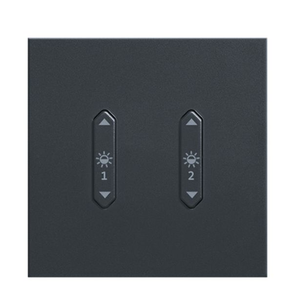 LM-RCB2 b+c - Rocker switch, 2x, light, anthracite image 1