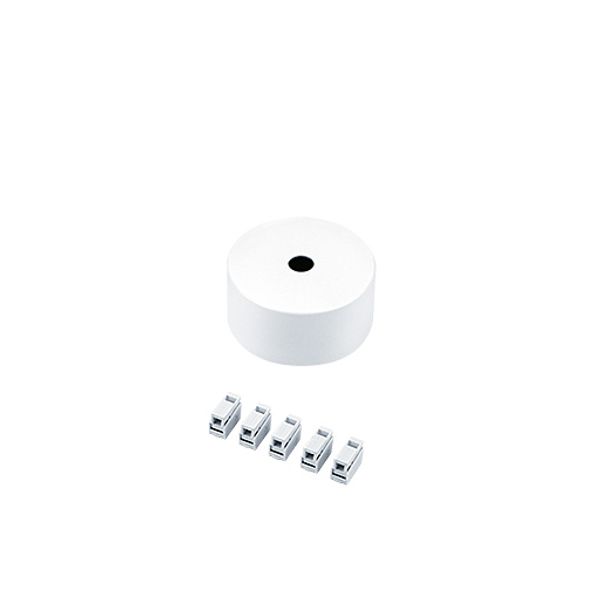 SUSP CEILING-MOUNT ROSE FEED WH - Ceiling rose image 1