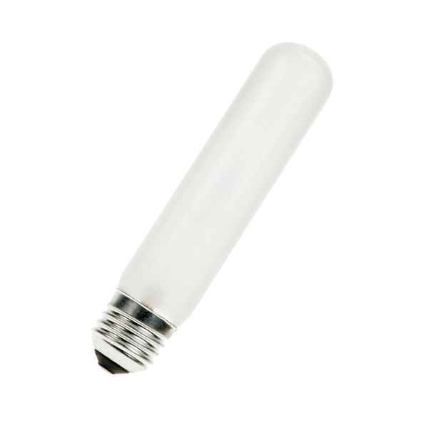Tube E27 30X144 240V 40W Frosted image 1