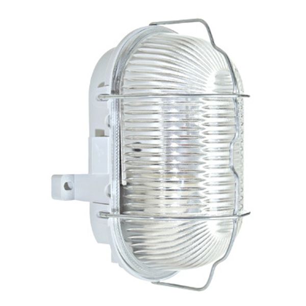 OVAL II E27, 60W, IP44, grey with wire guard and PC cover image 1
