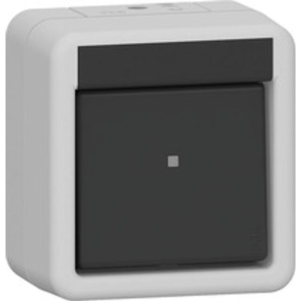 rocker switch 310230 Off 2-p WG AP gr image 1