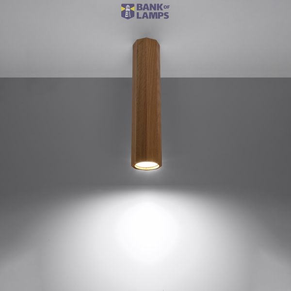 SPOT ZEKE 30 OAK GU10 1X40W IP20 image 2