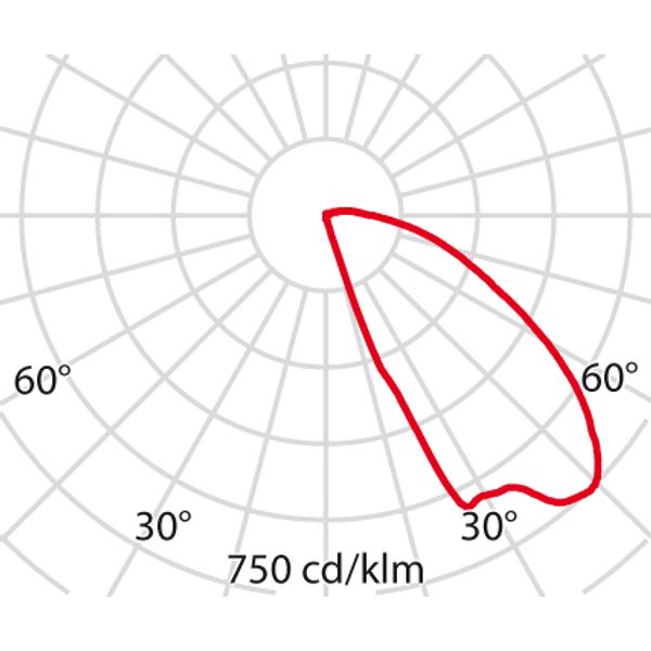 INSERT+1 6W 4000K MARINE image 5