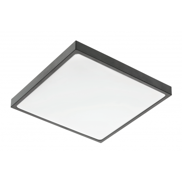 LED luminaire ALTAR, 24 W, 1680 lm, 4000K, AC180-250V, PF>0.5, IP44, 295x295 mm, black image 1