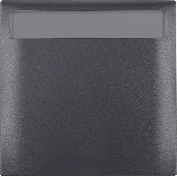 Integro Flow-Frame, 1-Gang, Hinged Cover and Labelling Field Anthracit image 2