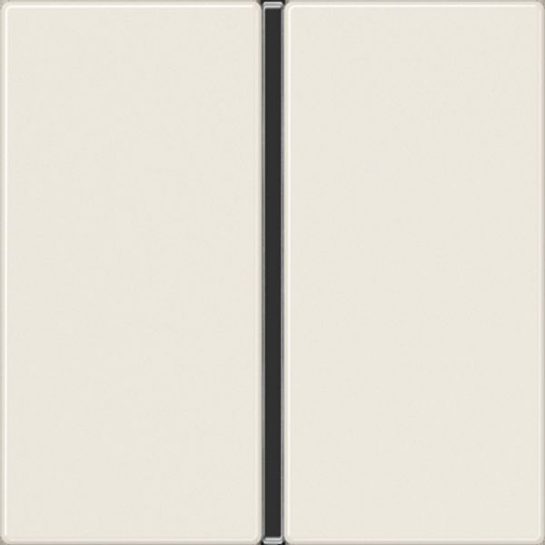 Cover 1-gang with symbols A401TSAPAL image 3